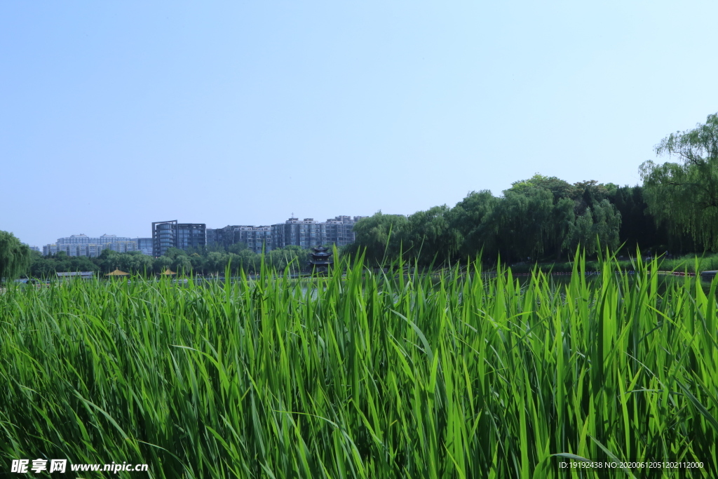 公园风景