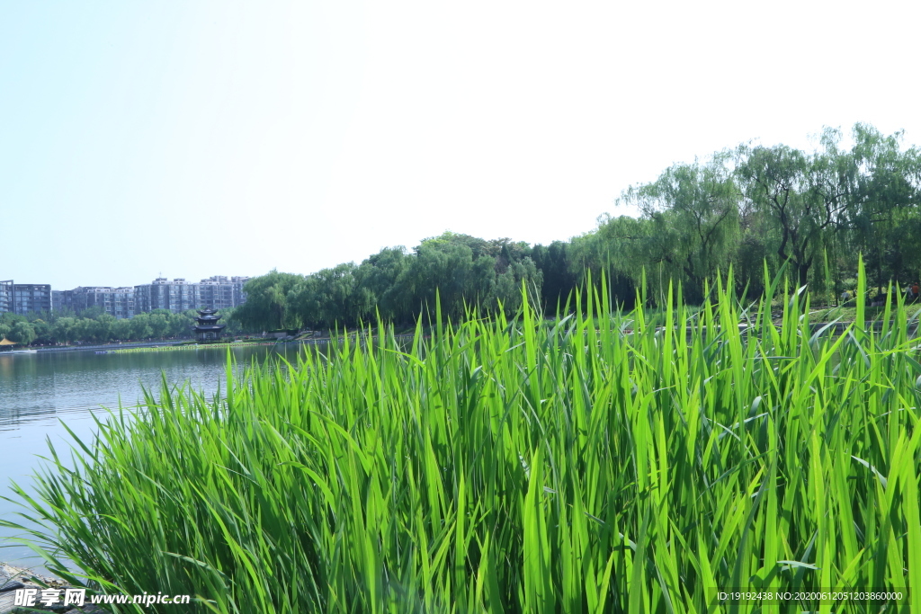 园林风景