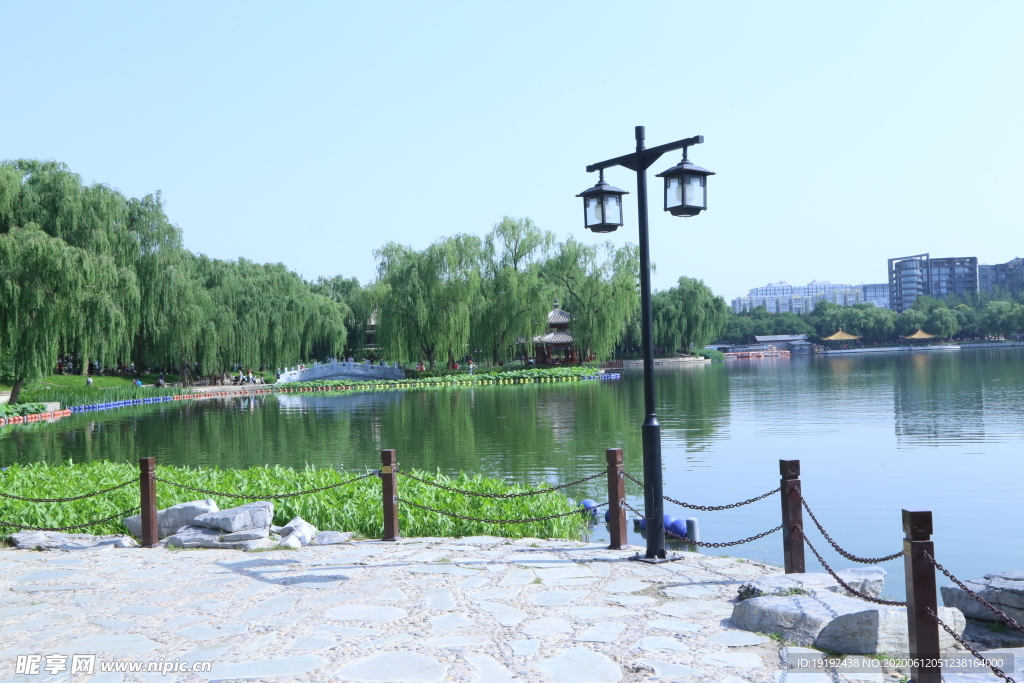 公园风景