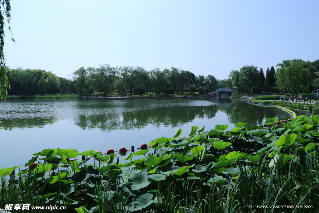 公园风景