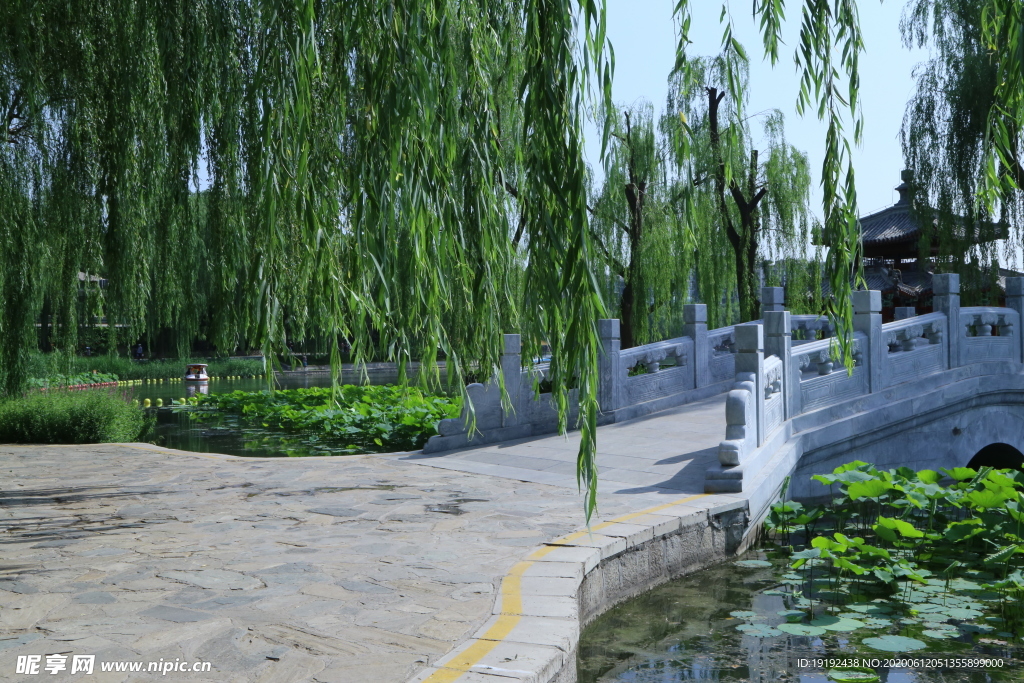公园风景