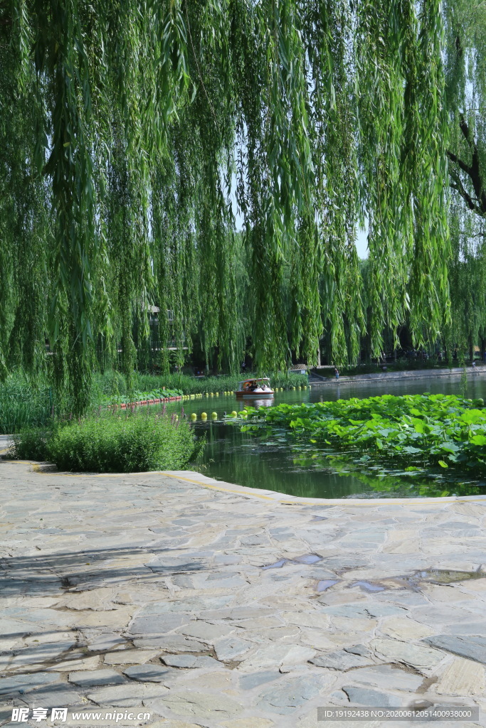 公园风景