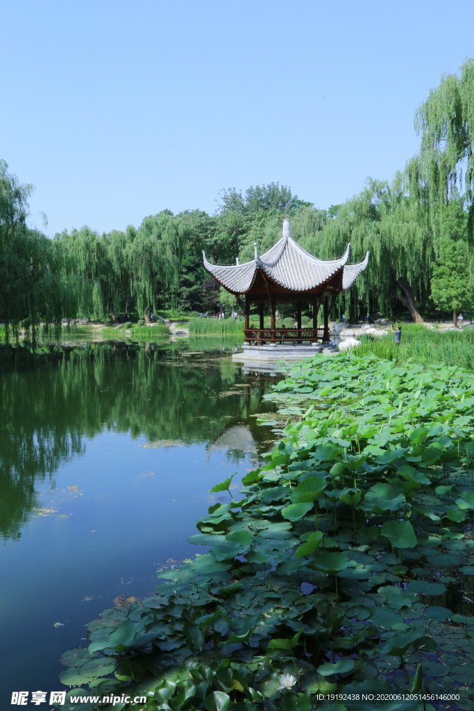 园林风景