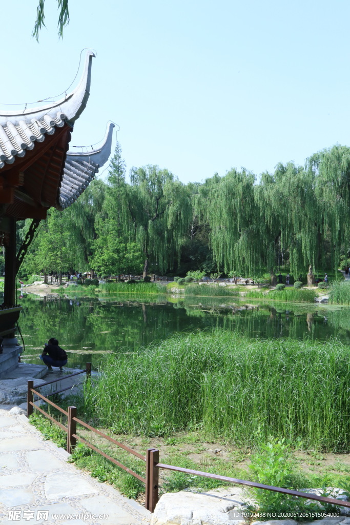 园林风景