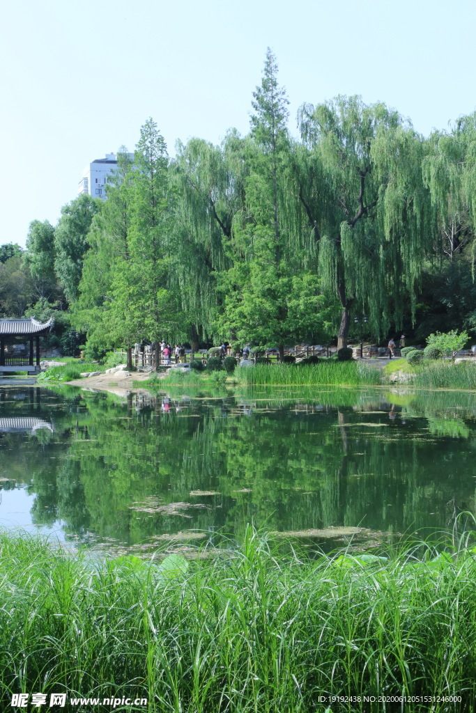 公园风景