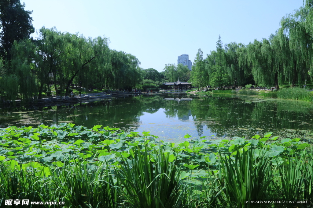 公园风景