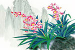 梅兰竹菊 兰花