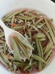 莼菜 恩施