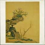 植物花朵工笔画