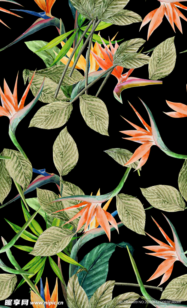 热带花