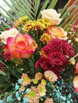 五颜六色鲜花