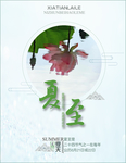 夏至海报
