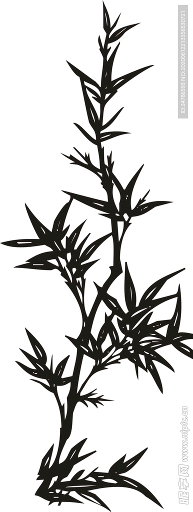 竹子