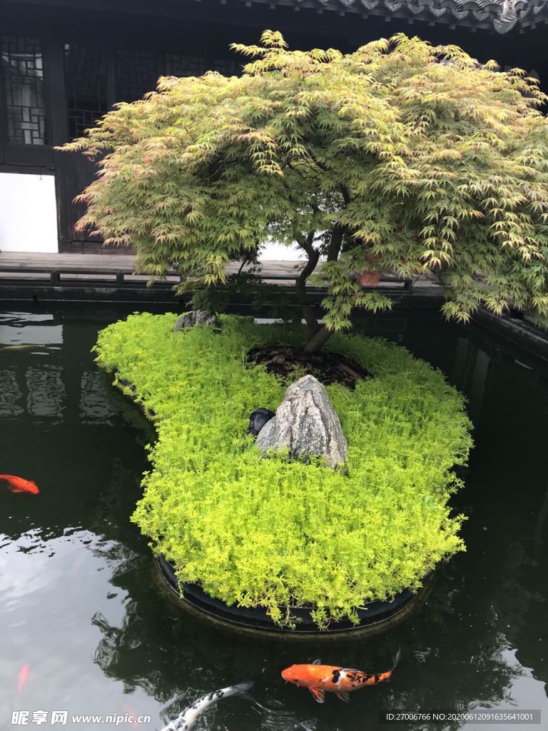 山水拍摄