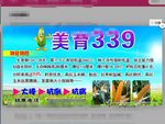 玉米种子