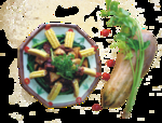 大鹅土豆焖玉米