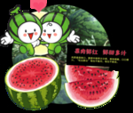 西瓜展板