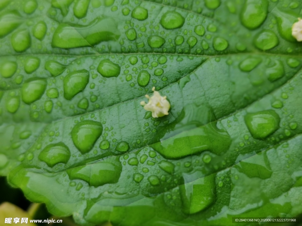 雨后
