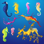 海洋生物