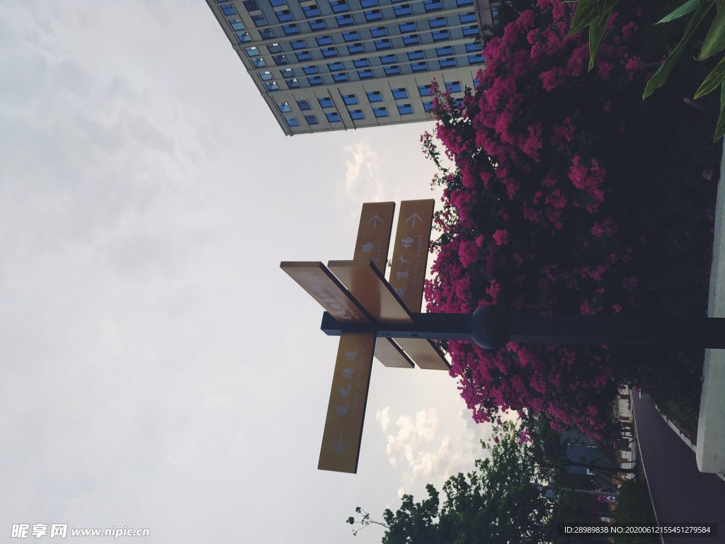 北海市花公园