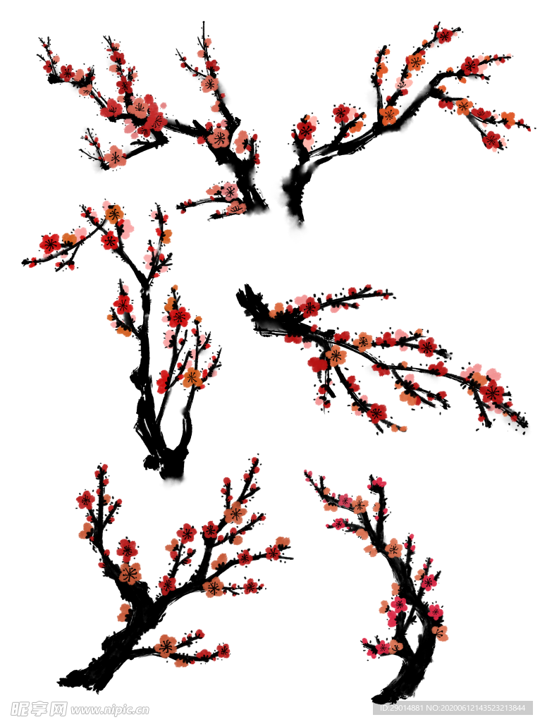 腊梅花
