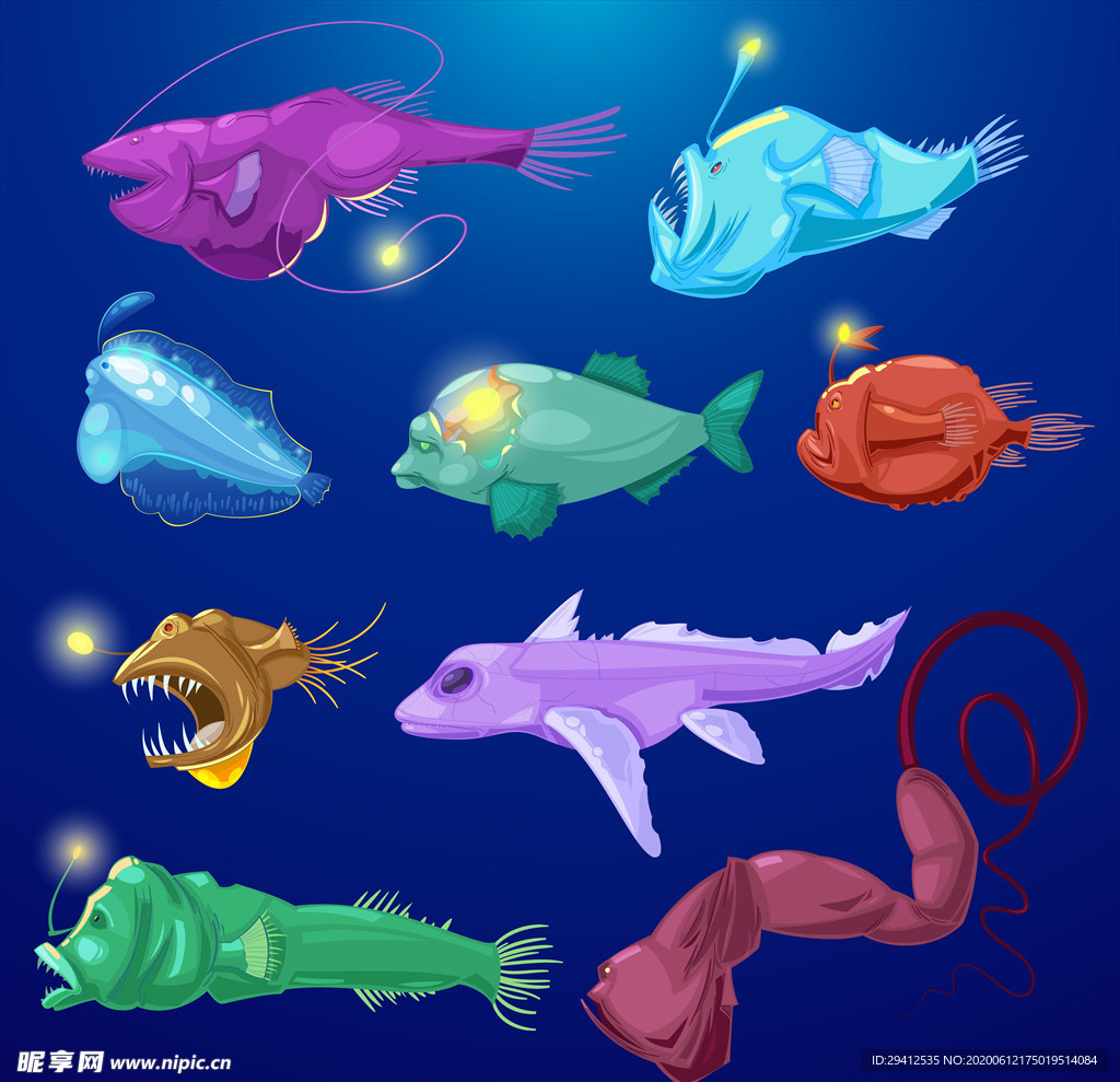 海洋动物
