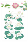 荷花免抠图
