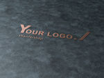 logo样机