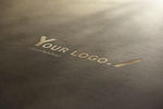 logo样机