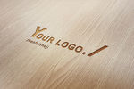 logo样机