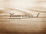 logo样机