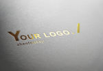 logo样机