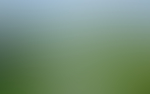 模糊背景