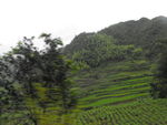 自然风景图片