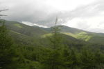 山