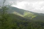 山