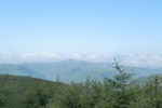 山