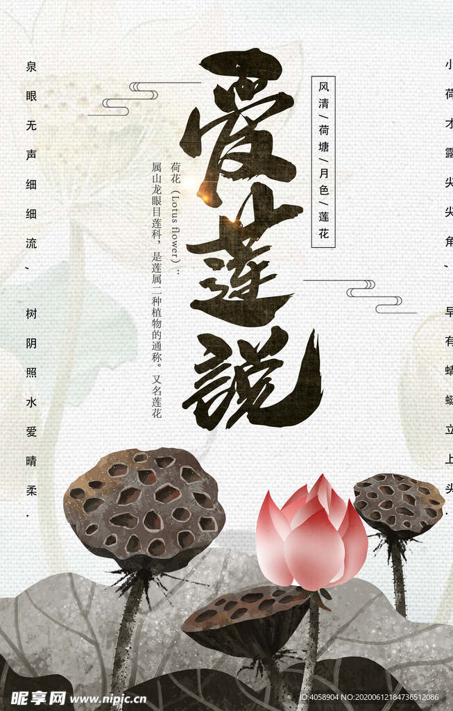 莲花