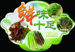 蔬菜 鲜味十足
