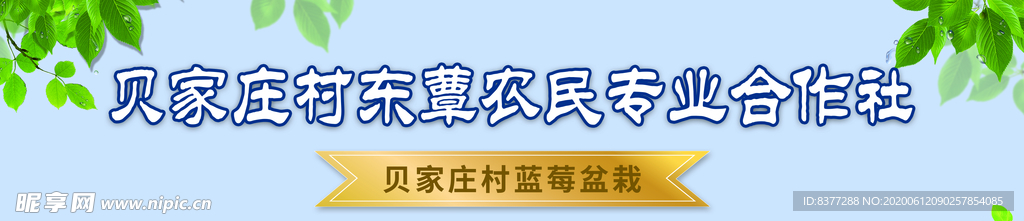 贝家庄村东蕈农民专业合作社