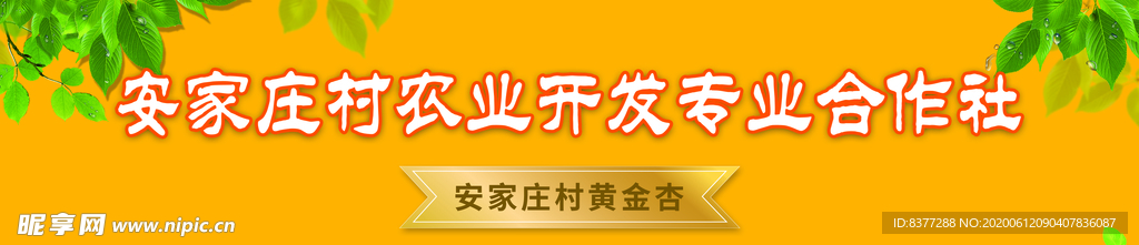 支部领办合作社产品走进城市夜市