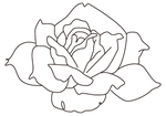 简笔鲜花
