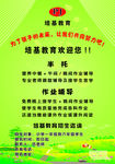 招生海报