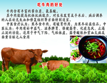 牛肉
