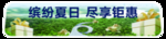 展车车贴