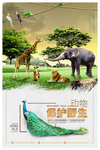 创意保护野生动物海报