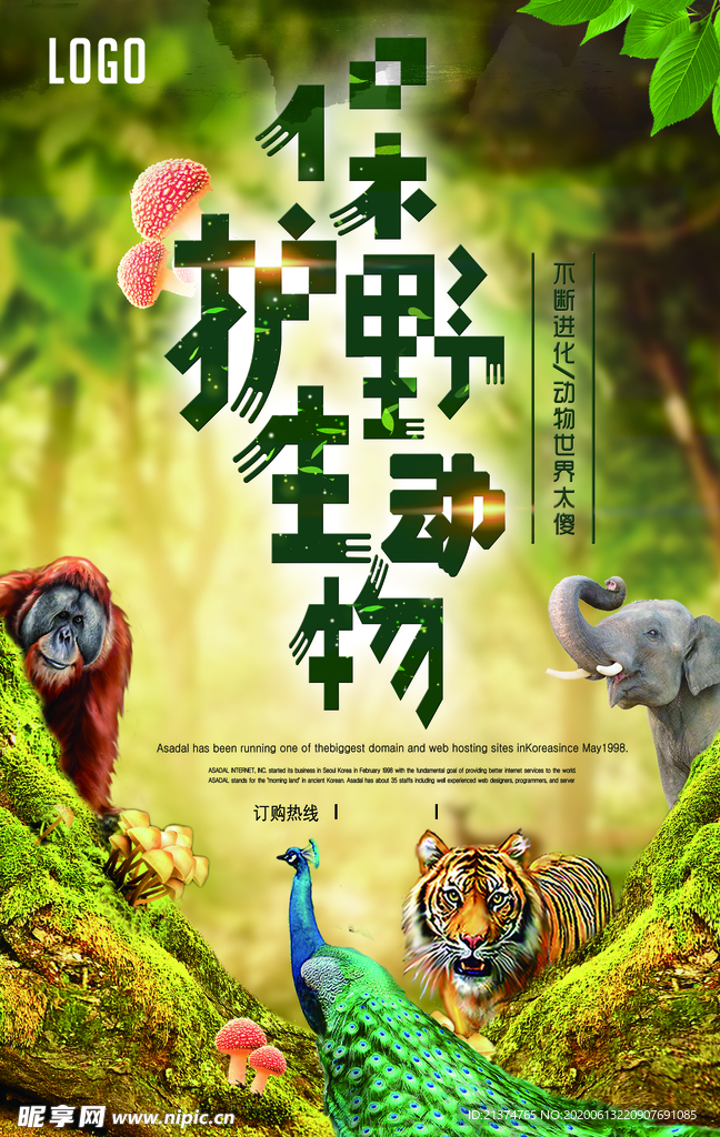 保护野生动物公益创意海报