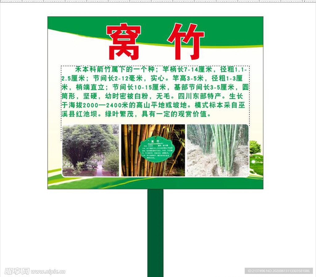 窝竹简介牌子