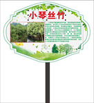 小琴丝竹简介