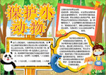 动物小报